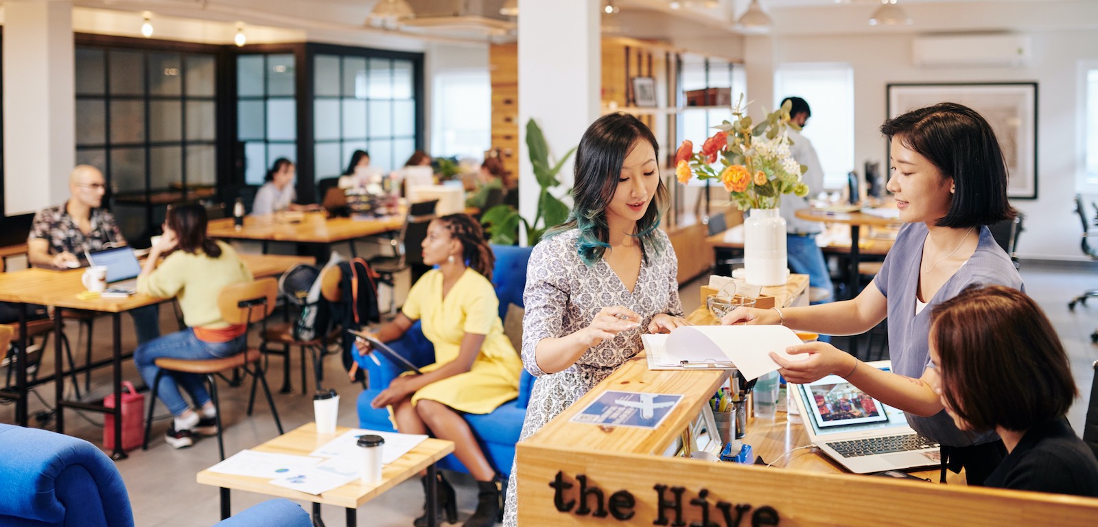 the Hive Thao Dien, photo 5